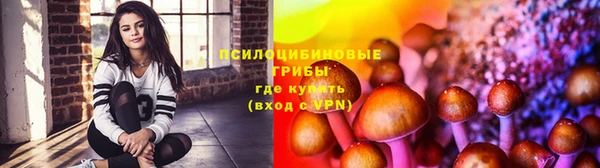 экстази Козельск