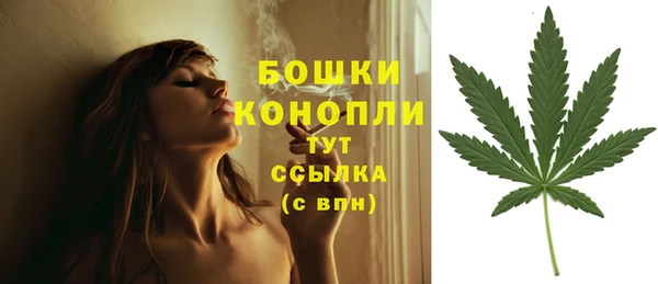 apvp Козловка