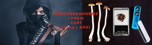 apvp Козловка
