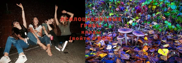 apvp Козловка
