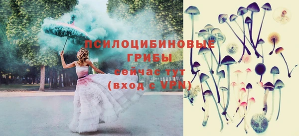 экстази Козельск