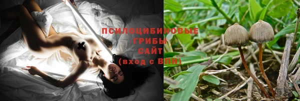 гидропоника Кодинск